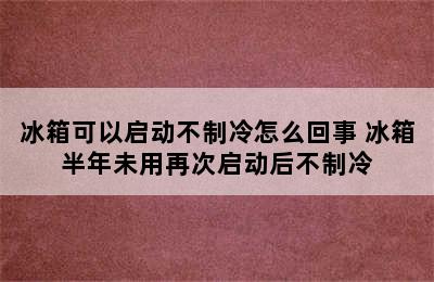 冰箱可以启动不制冷怎么回事 冰箱半年未用再次启动后不制冷